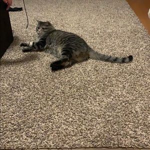 Meet your Posher, Taylor